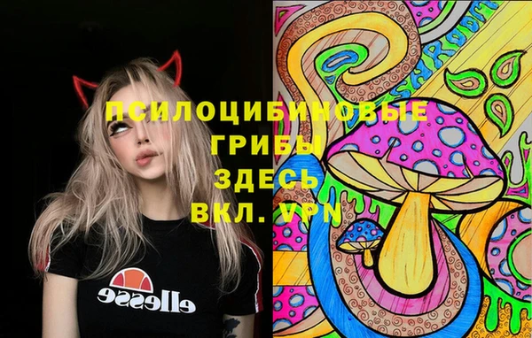 бутират Алексеевка