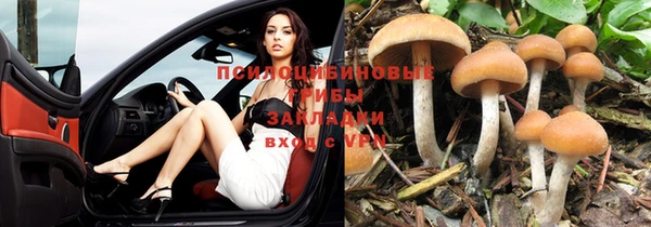амфетамин Алексин